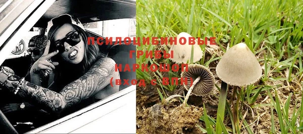 спайс Нея