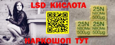 шишки Изобильный