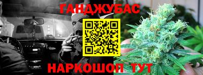 шишки Изобильный