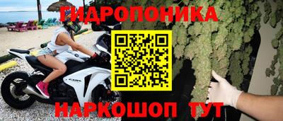 шишки Ипатово