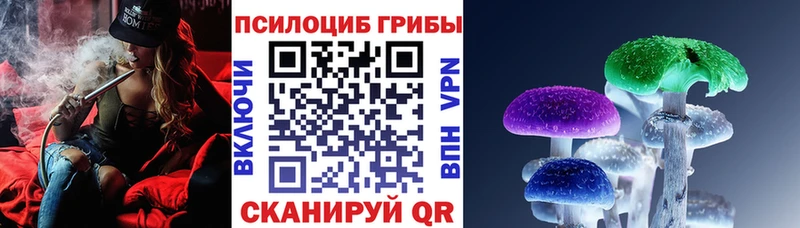 Галлюциногенные грибы Psilocybe  цены наркотик  Новороссийск 