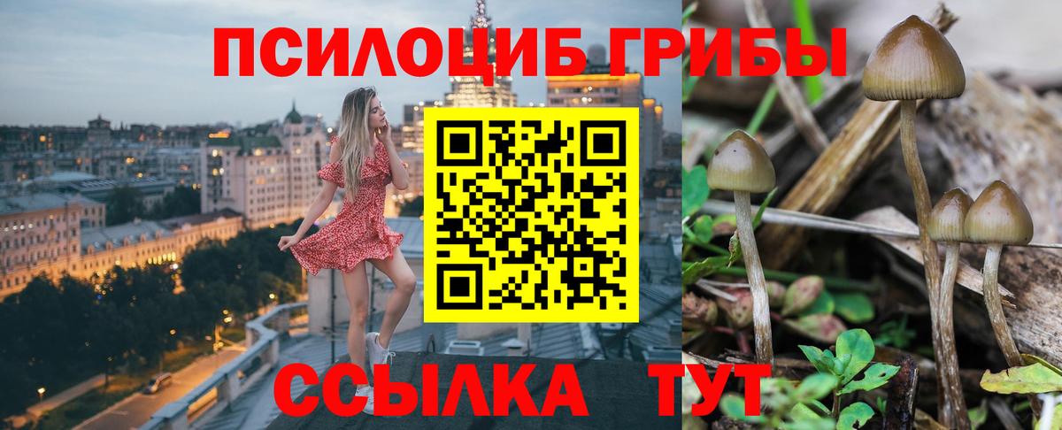 Галлюциногенные грибы Psilocybine cubensis  Вход с VPN  Новороссийск 