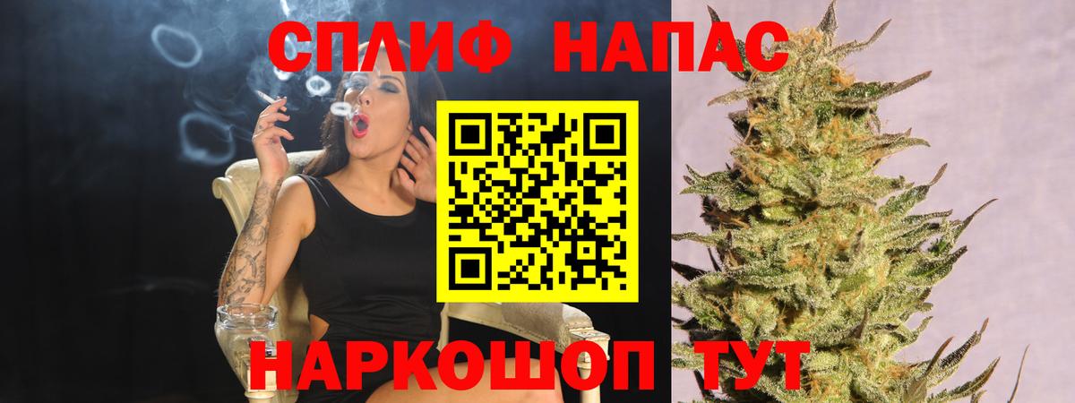 Канабис OG Kush Новороссийск